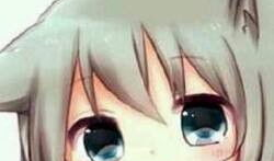 动漫喵,动漫喵的奇幻冒险之旅